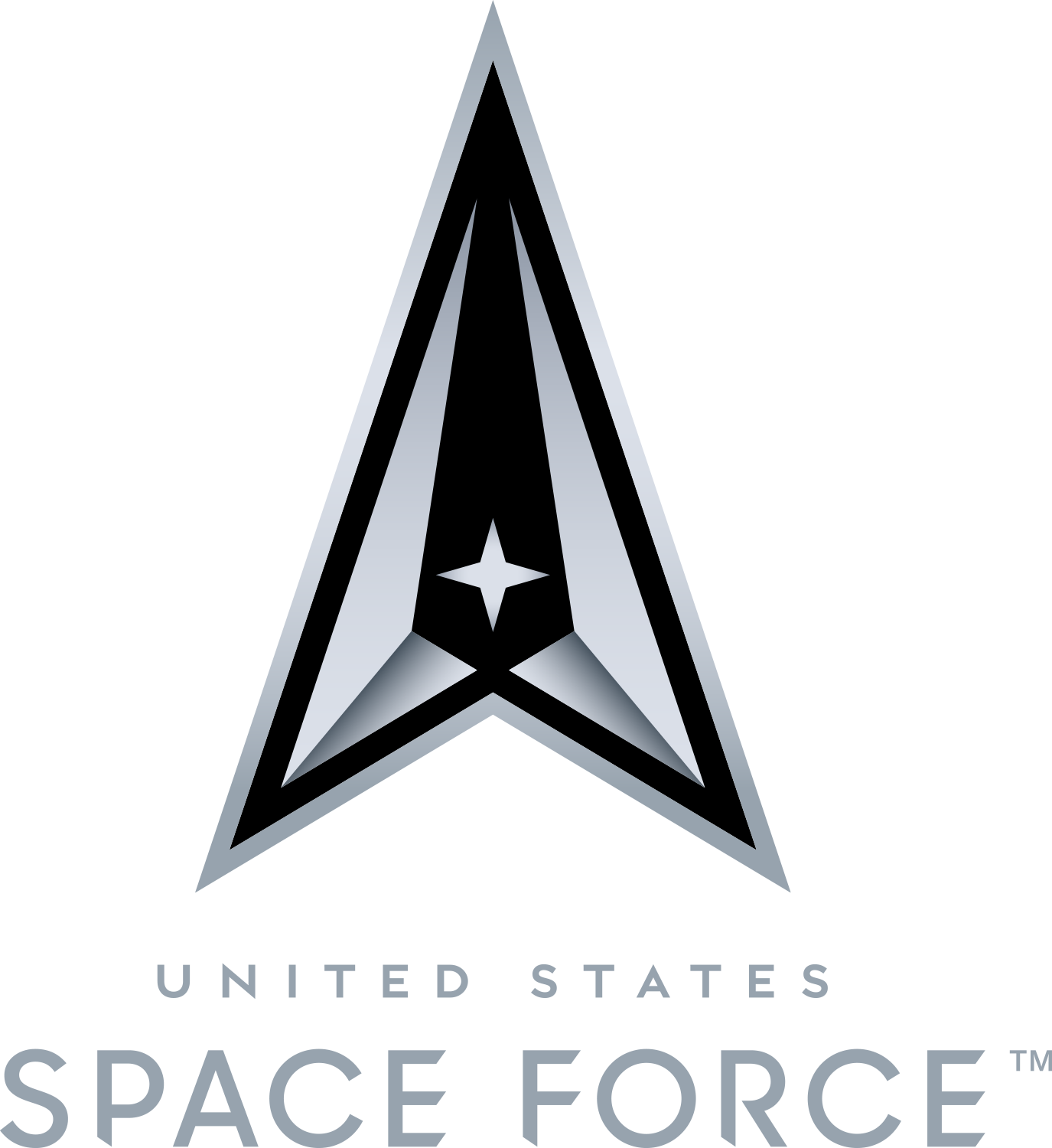 Space Force Logo